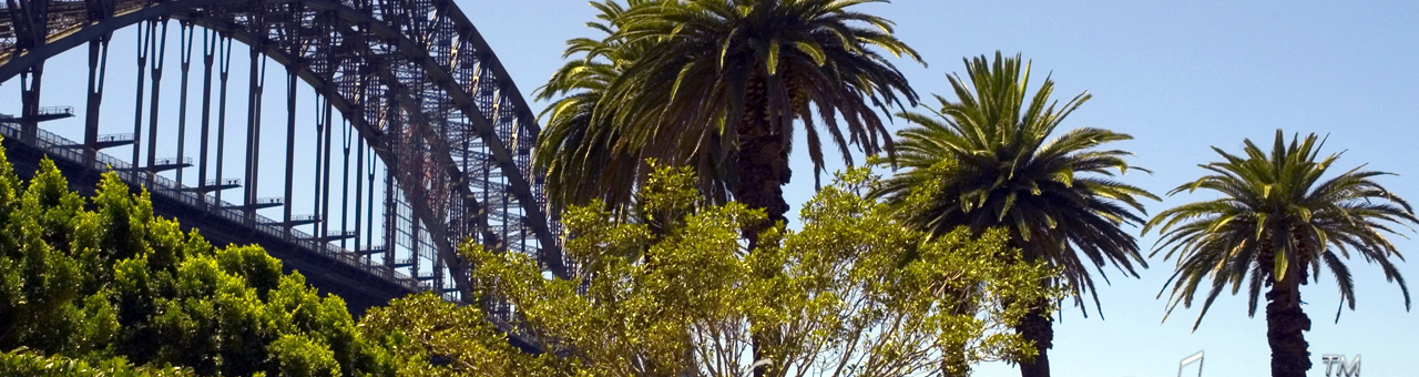 ddos攻击ip软件下载