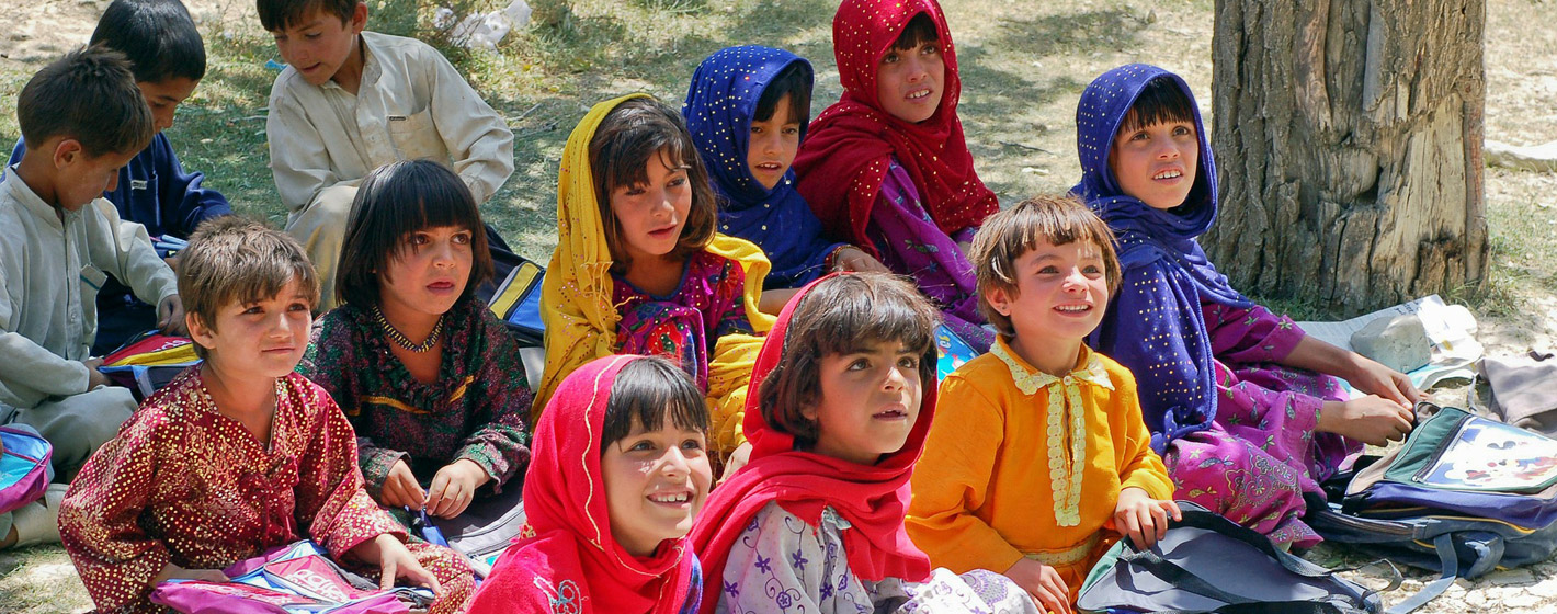 真真切切帮您的ddos网页端