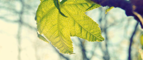 免费cc攻击测试