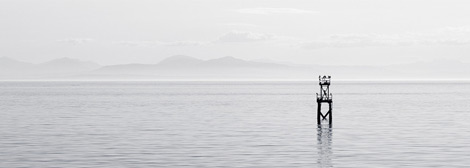 ddos在线压力测试平台