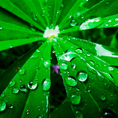 高级功能免费的ddos服务器攻击手段