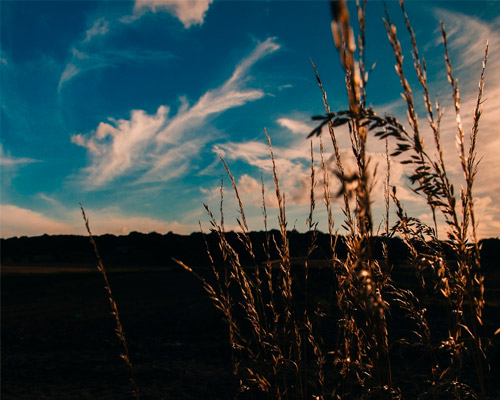 服务器攻击软件